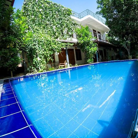 Mirissa Blue Whale Holiday Hotel Ngoại thất bức ảnh