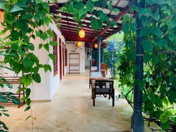 Mirissa Blue Whale Holiday Hotel Ngoại thất bức ảnh