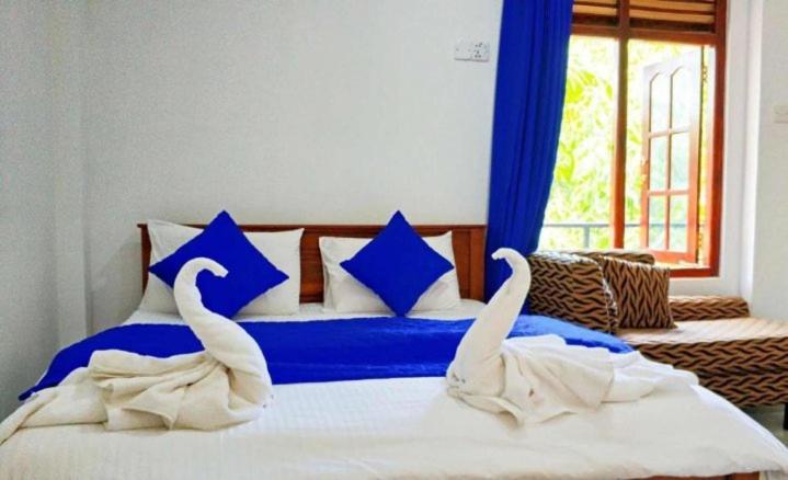 Mirissa Blue Whale Holiday Hotel Ngoại thất bức ảnh
