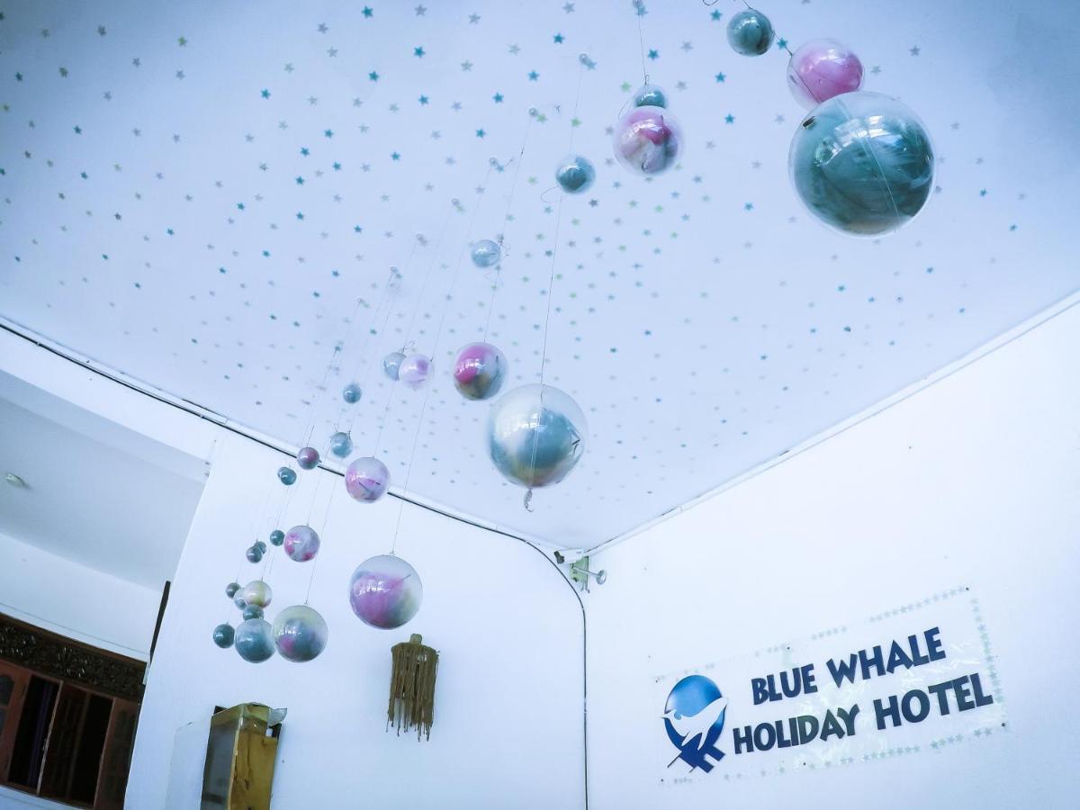 Mirissa Blue Whale Holiday Hotel Ngoại thất bức ảnh