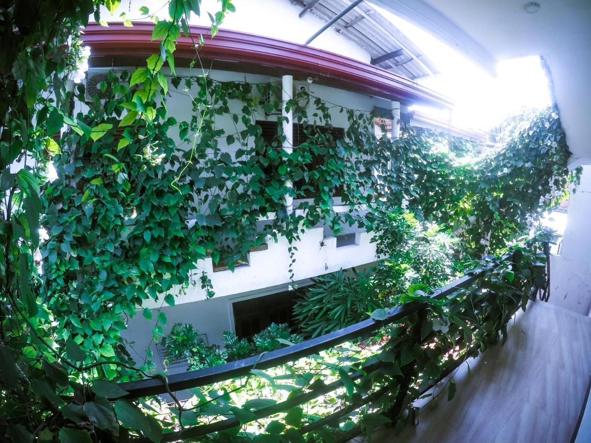 Mirissa Blue Whale Holiday Hotel Ngoại thất bức ảnh
